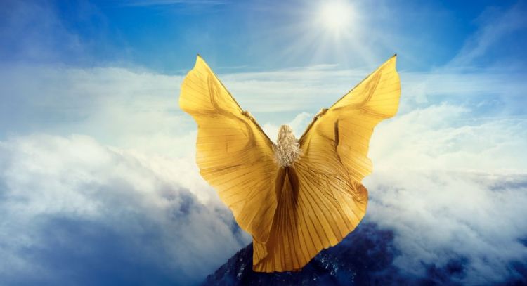 Este es el mensaje del Ángel de la Guarda para Capricornio, Acuario y Piscis este 9 de marzo