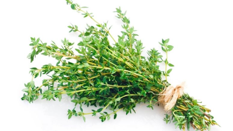 Dile adiós a las malas energías del hogar con esta planta aromática que usas en la cocina