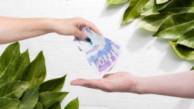 En qué parte del cuerpo debes llevar el laurel para atraer la fortuna