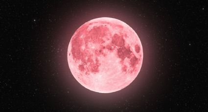 Luna Rosa: el ritual milenario con rosas para atraer la prosperidad y éxito en abril 2024