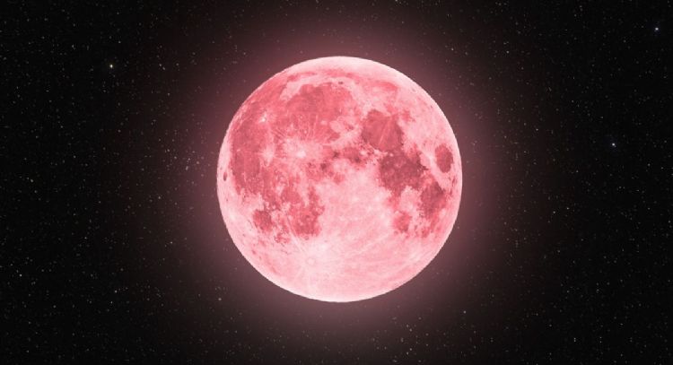 Luna Rosa: el ritual milenario con rosas para atraer la prosperidad y éxito en abril 2024