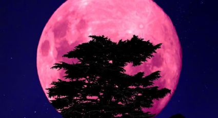 Cuándo se podrá ver la Super Luna rosa en abril de 2024