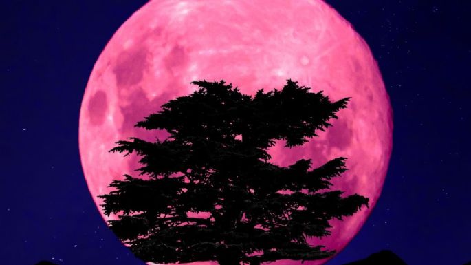 Cuándo se podrá ver la Super Luna rosa en abril de 2024