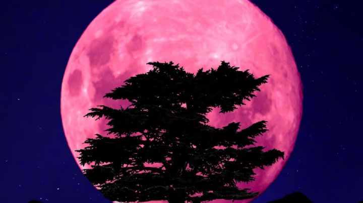 Cuándo se podrá ver la Super Luna rosa en abril de 2024