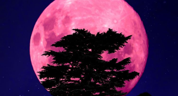 Cuándo se podrá ver la Super Luna rosa en abril de 2024