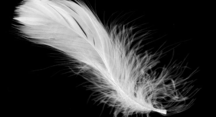 Este es el mensaje del ángel de la guarda para Libra, Escorpio y Sagitario este 15 de abril