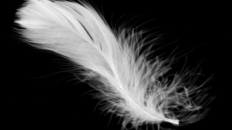 Este es el mensaje del ángel de la guarda para Libra, Escorpio y Sagitario este 15 de abril