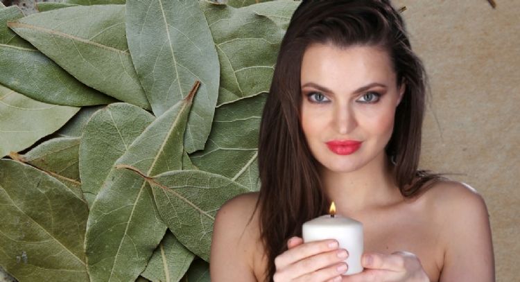 Dile adiós al desempleo con este efectivo ritual con velas y laurel para conseguir el trabajo de tu sueños