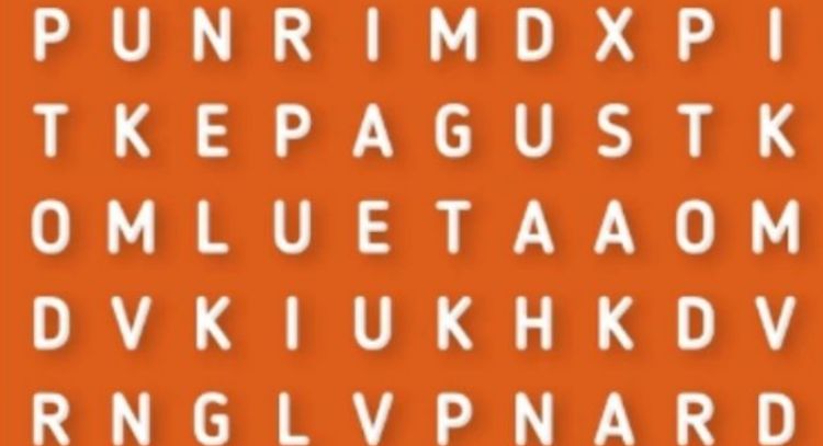 Solo una vista de águila puede encontrar la palabra "Bondad" en menos de 10 segundos