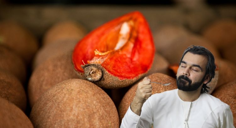 Dulce de mamey, la receta dulce más exquisita de Colombia