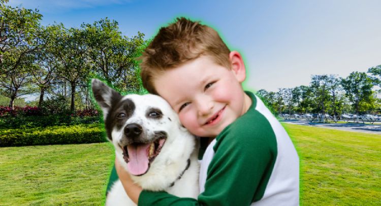 Estas son las 5 mejores razas de perros que nunca le harán daño a tus niños