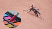 Foto ilustrativa de la nota titulada Conoce cuáles son los colores que atraen los mosquitos, según afirma la ciencia