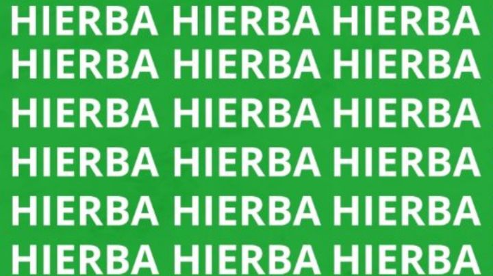 Solo una persona muy inteligente puede encontrar la palabra 'Hierva' en menos de 10 segundos