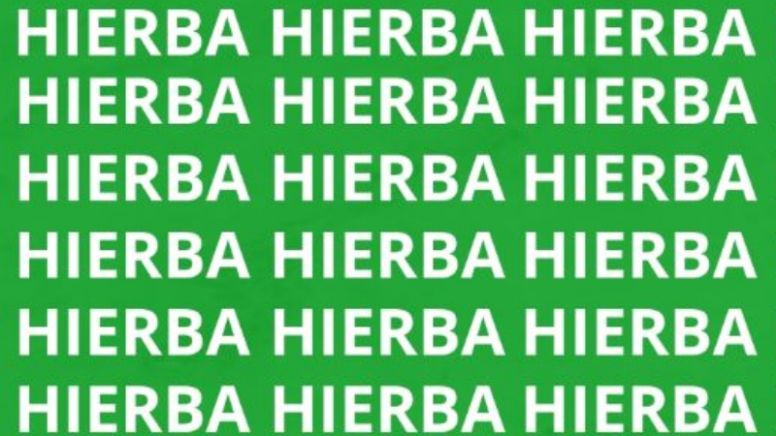 Solo una vista privilegiada puede encontrar la palabra 'Hierva' en menos de 10 segundos