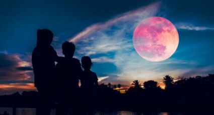 Año bisiesto: los 5 signos que aprenderán una lección de la Luna Rosa este 23 de abril