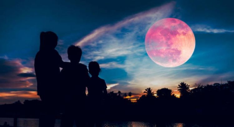 Año bisiesto: los 5 signos que aprenderán una lección de la Luna Rosa este 23 de abril
