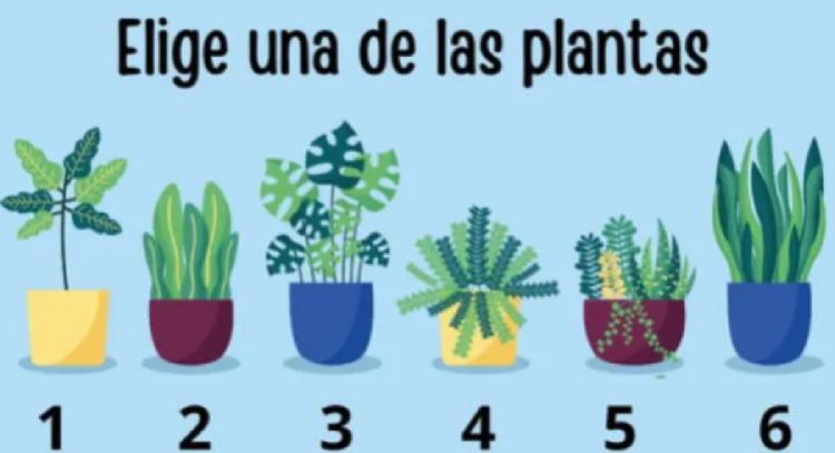 Dime qué planta eliges y te diré tu misión en la vida
