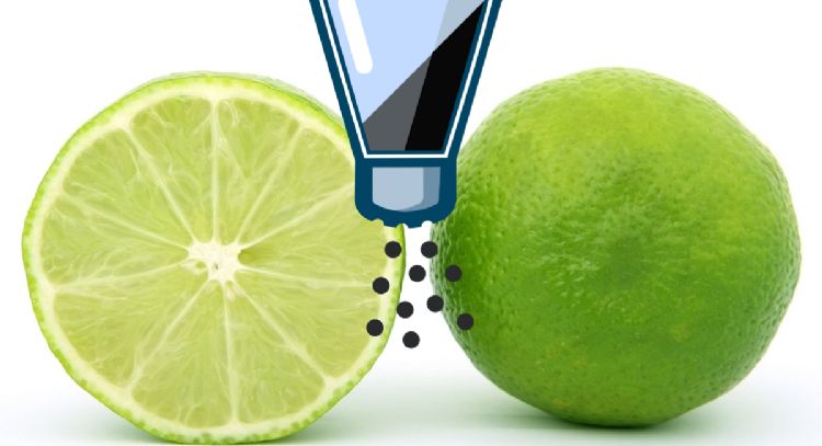 ¿Qué pasa en el cuerpo si como limón con sal?
