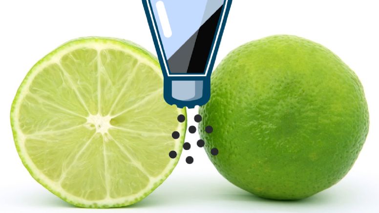 ¿Qué pasa en el cuerpo si como limón con sal?