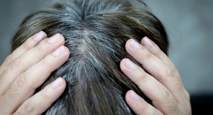 Cuáles son los 3 ingredientes que te ayudan a eliminar las canas y pocos conocen