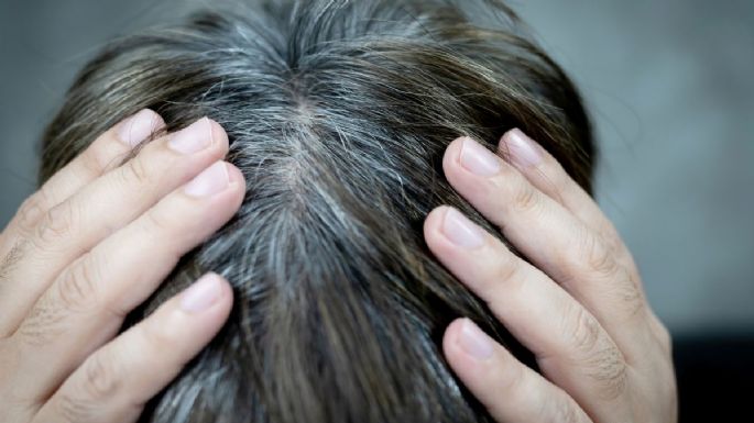 Cuáles son los 3 ingredientes que te ayudan a eliminar las canas y pocos conocen