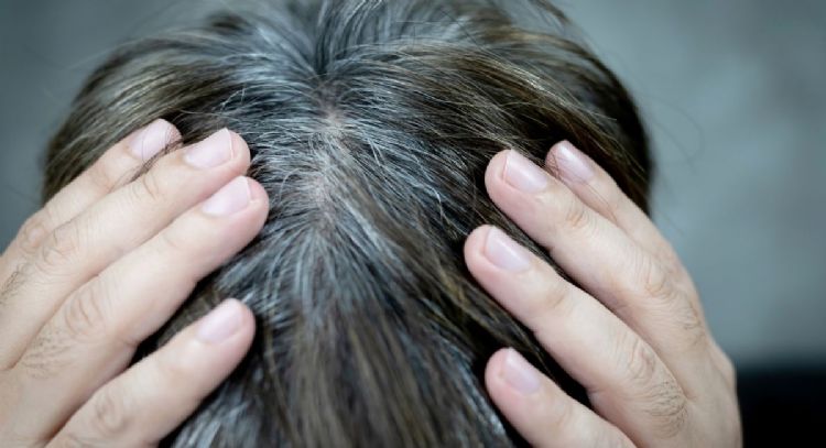 Cuáles son los 3 ingredientes que te ayudan a eliminar las canas y pocos conocen