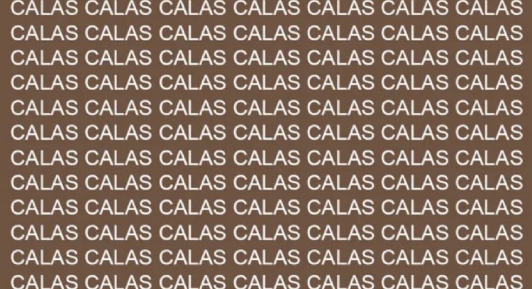 Sólo una mente muy inteligente puede encontrar la palabra 'Cajas' en menos de 5 segundos