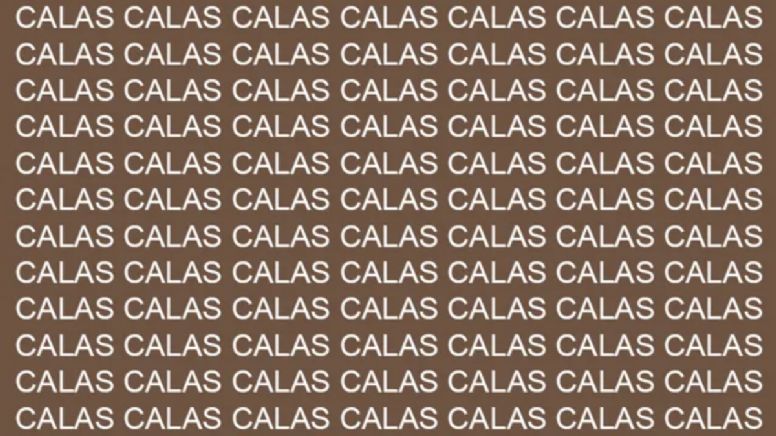 Sólo una mente muy inteligente puede encontrar la palabra 'Cajas' en menos de 5 segundos