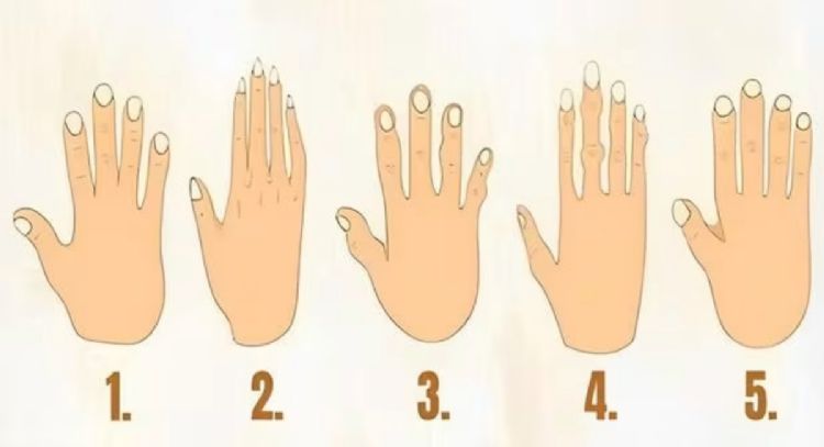 Dime qué forma tiene tu mano y te diré cómo es tu personalidad