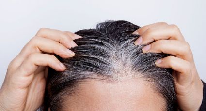 Dile adiós a las canas, cómo preparar un tinte casero con solo 2 ingredientes