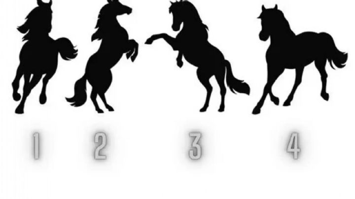 Test de personalidad: elige uno de los 4 caballos y descubre qué te hace especial
