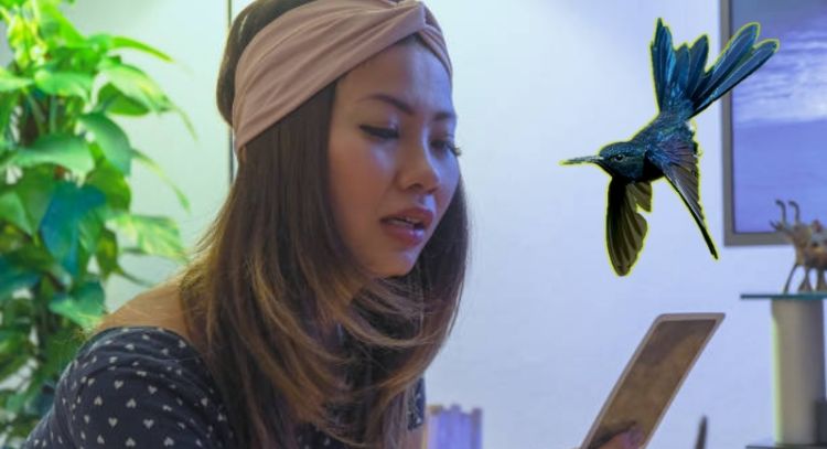 Tarot del Colibrí: este es el mensaje de las cartas para este 2 de mayo