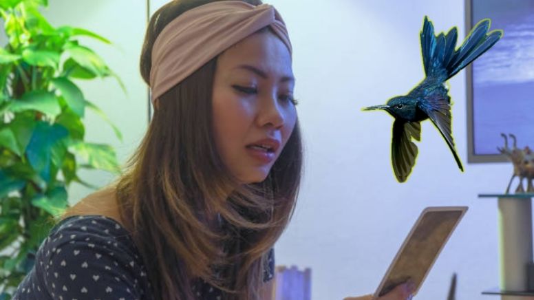 Tarot del Colibrí: este es el mensaje de las cartas para este 2 de mayo