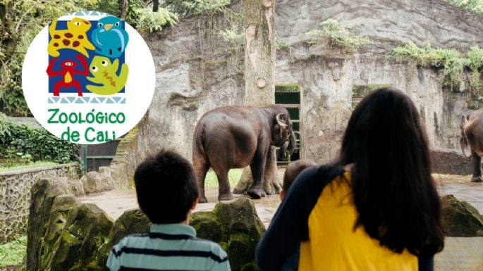 Zoológico de Cali: quiénes pueden entrar gratis el próximo 25 de mayo con solo 2 requisitos