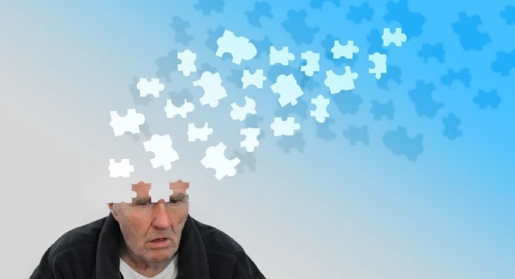 Cuál es la fruta que te ayuda a cuidar tu memoria, según la ciencia