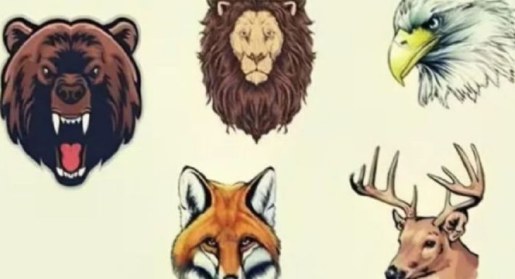 Dime qué animal viste primero y te diré cuál es tu mejor rasgo de personalidad