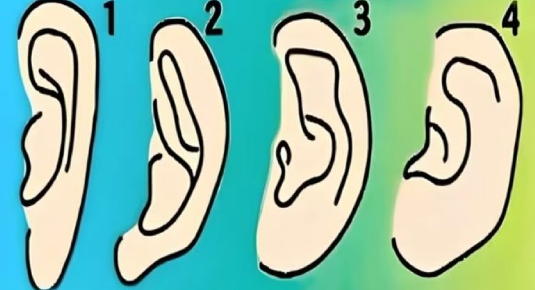 Dime la forma de tu oreja y te diré una de tus mejores cualidades