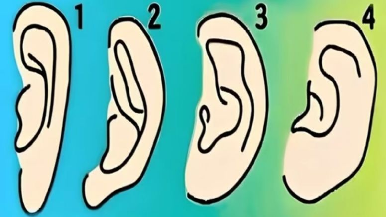 Dime la forma de tu oreja y te diré una de tus mejores cualidades