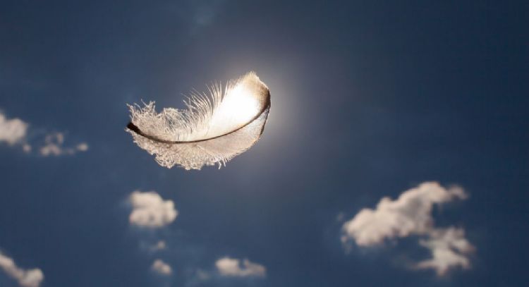 Cuál es el mensaje de los ángeles para cada signo para atraer la salud entre el 30 y el 31 de mayo