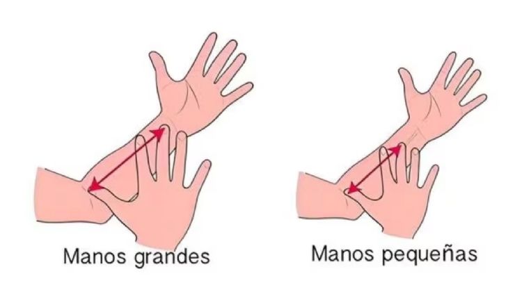 Dime el tamaño de tus manos y te diré si tienes alma de lider