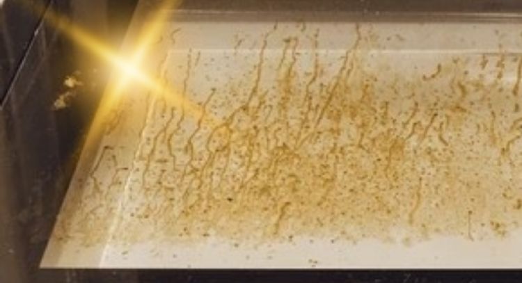 Cómo eliminar las manchas de grasa del piso con solo 1 ingrediente de cocina