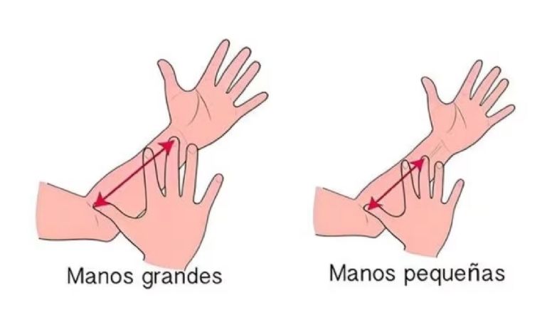 Dime el tamaño de tus manos y te diré si tienes alma de lider