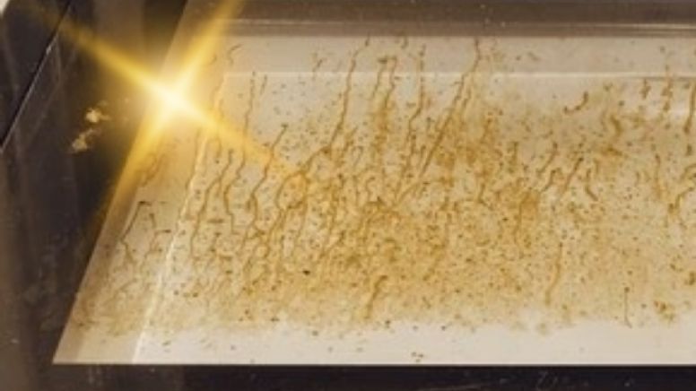 Cómo eliminar las manchas de grasa del piso con solo 1 ingrediente de cocina