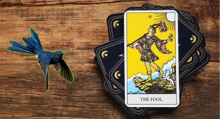 Tarot del Colibrí: este es el mensaje de las cartas para este 6 de mayo