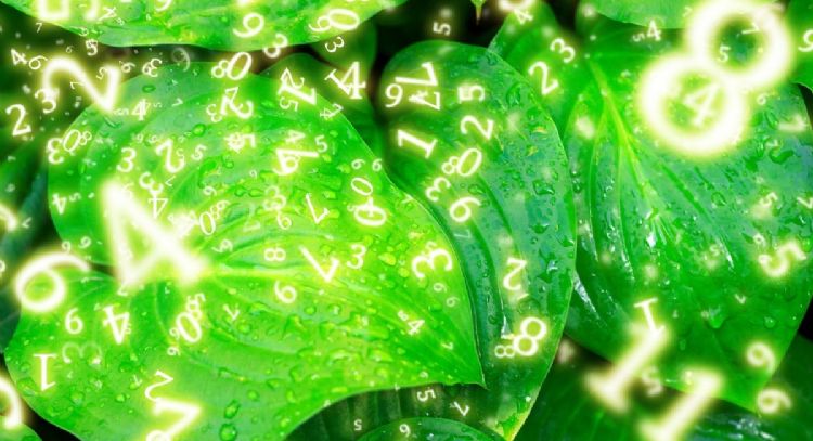 Estos son los signos que tendrán sus números alineados a la suerte este 8 de mayo