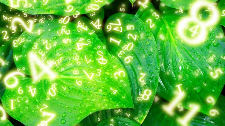 Estos son los signos que tendrán sus números alineados a la suerte este 8 de mayo