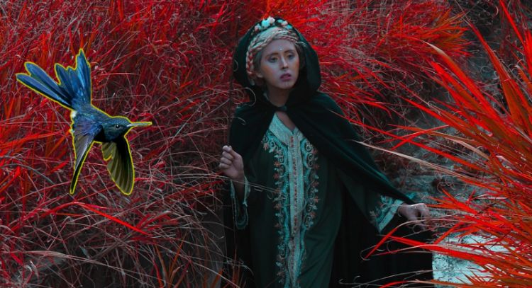 Tarot del Colibrí: este es el mensaje de las cartas para este 16 de junio