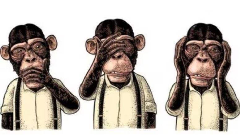 Escoge un mono de la imagen y te diré tu nivel de inteligencia