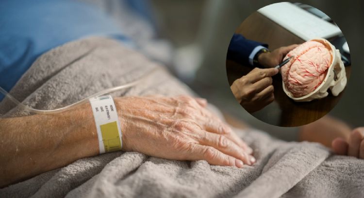 Qué pasa en nuestro cerebro después de morir, según la ciencia