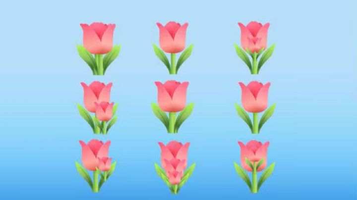 Escoge una cantidad de flores en la imagen y descubre algo oculto de tu personalidad